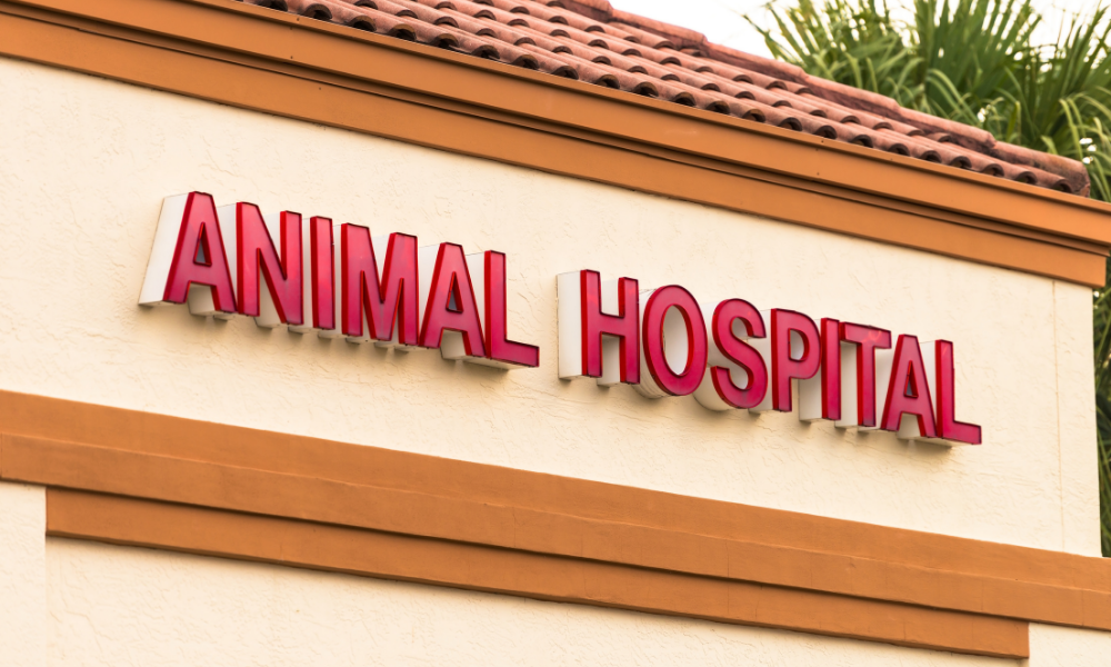 動物病院の看板